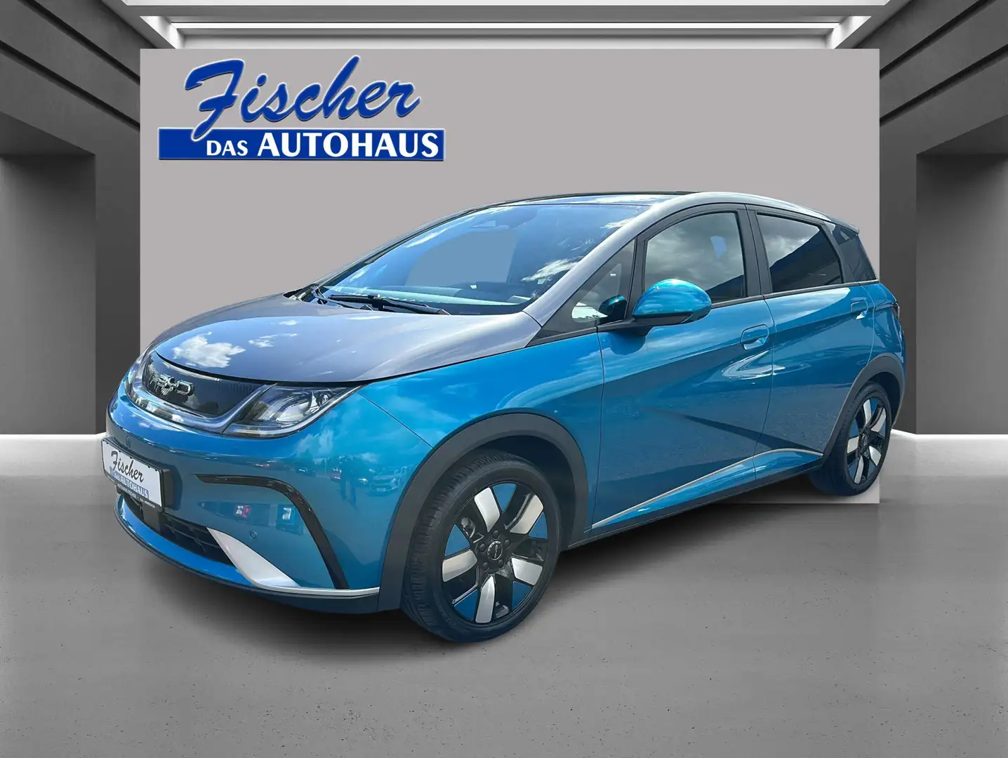 BYD Dolphin Design - 1