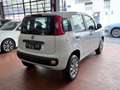 Fiat Panda 0.9 t.air Easy Ok Neopatentati *PREZZO REALE* Blanc - thumbnail 5