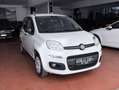 Fiat Panda 0.9 t.air Easy Ok Neopatentati *PREZZO REALE* Blanc - thumbnail 3
