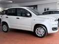 Fiat Panda 0.9 t.air Easy Ok Neopatentati *PREZZO REALE* Blanc - thumbnail 4