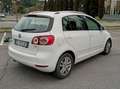 Volkswagen Golf Plus Golf VI 2008 Plus 1.6 tdi Highline Bianco - thumbnail 4