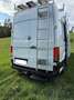 Volkswagen Crafter Crafter 35 Kasten LR L4H3 2,0 TDI BMT Aut. Weiß - thumbnail 15