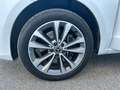 Mercedes-Benz V 250 V Long 250 d Sport auto  ***prezzo finito*** Weiß - thumbnail 20