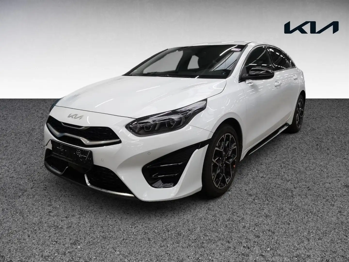Kia ProCeed / pro_cee'd ProCeed 1.5 T-GDI GT-Line MY24+Navi+R.Kam+Allwett Weiß - 2