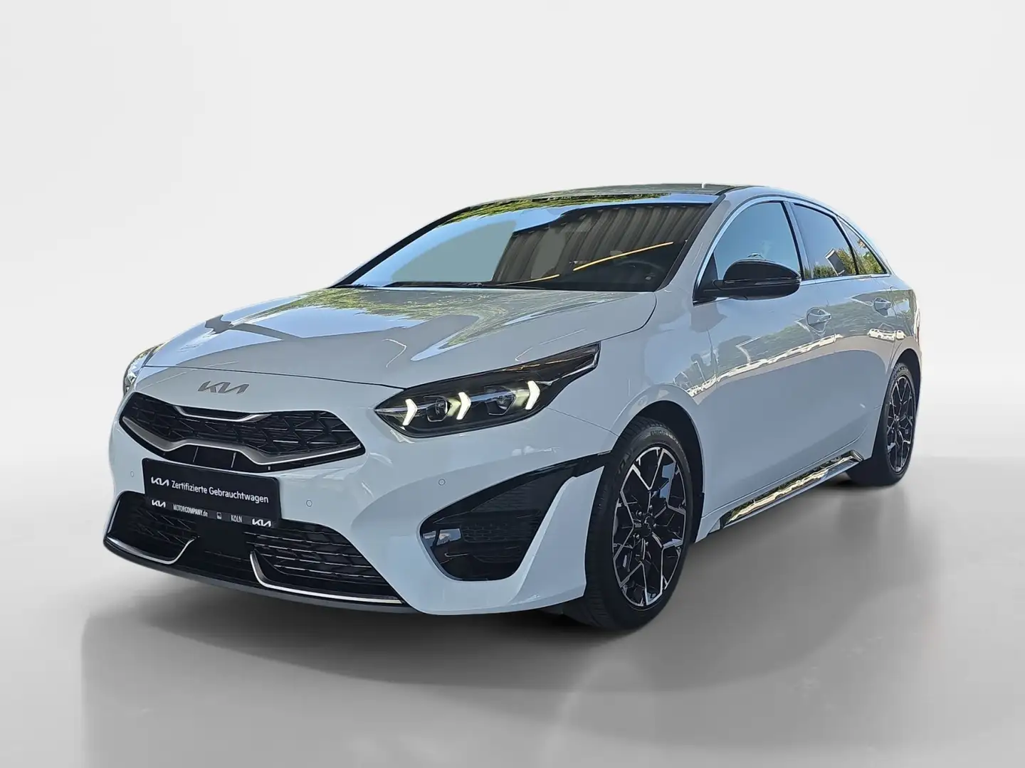 Kia ProCeed / pro_cee'd ProCeed 1.5 T-GDI GT-Line MY24+Navi+R.Kam+Allwett Weiß - 2