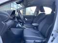 Toyota Yaris 1.5 Hybrid Active NL.Auto/Automaat/Camera/Climatro Weiß - thumbnail 14
