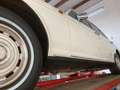 Rolls-Royce Silver Spirit 6.8 Weiß - thumbnail 7