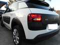 Citroen C4 C4 Cactus 1.6 bluehdi Shine 100cv Weiß - thumbnail 9