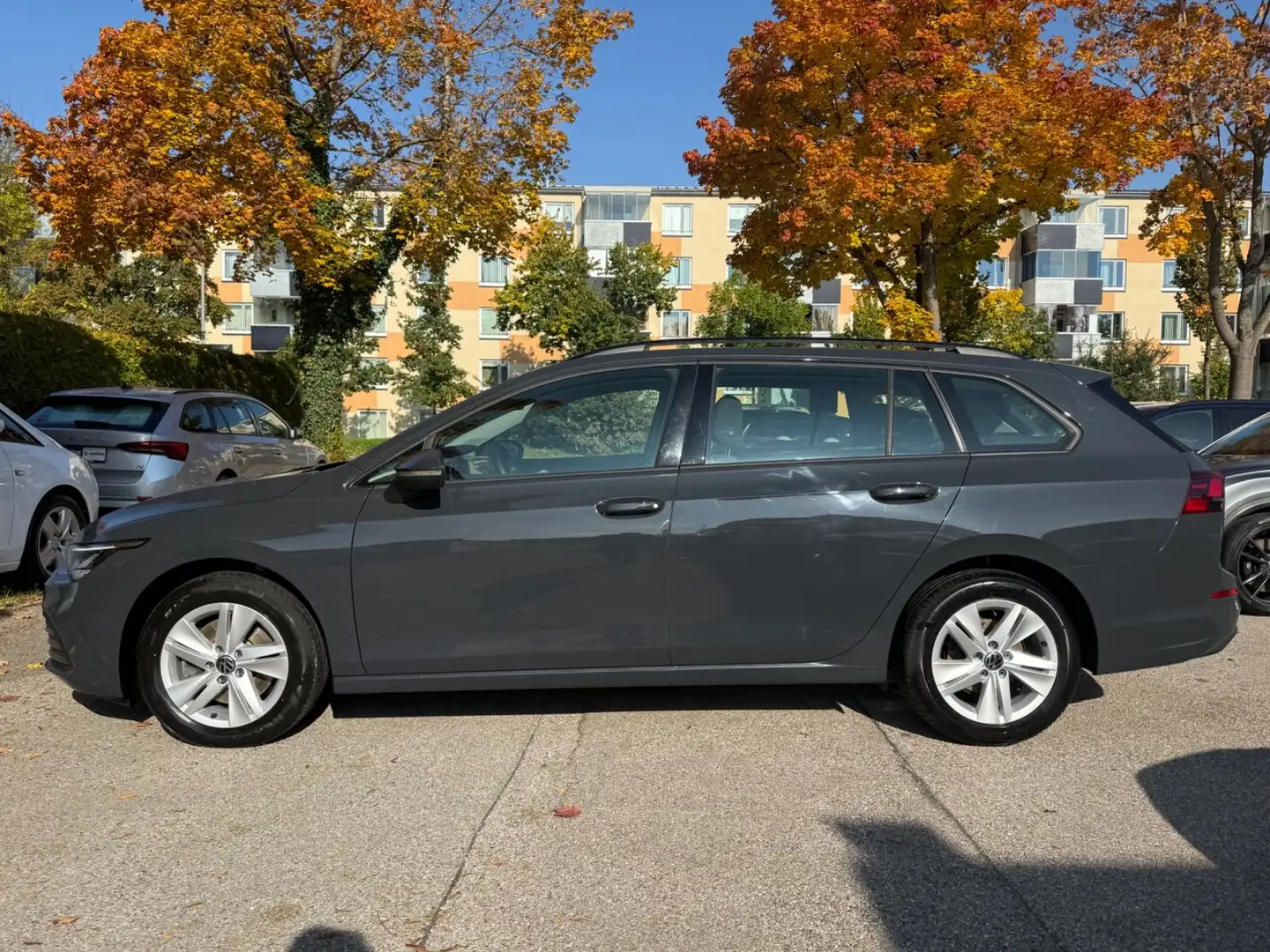 Volkswagen Golf VIII Var. TDI Life/LED/Premium-NAVI-P./ACC Gris - 2