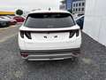 Hyundai TUCSON Impression MHEV DCT ACC SHZ 360 MATRIX KRELL 1.... Weiß - thumbnail 6