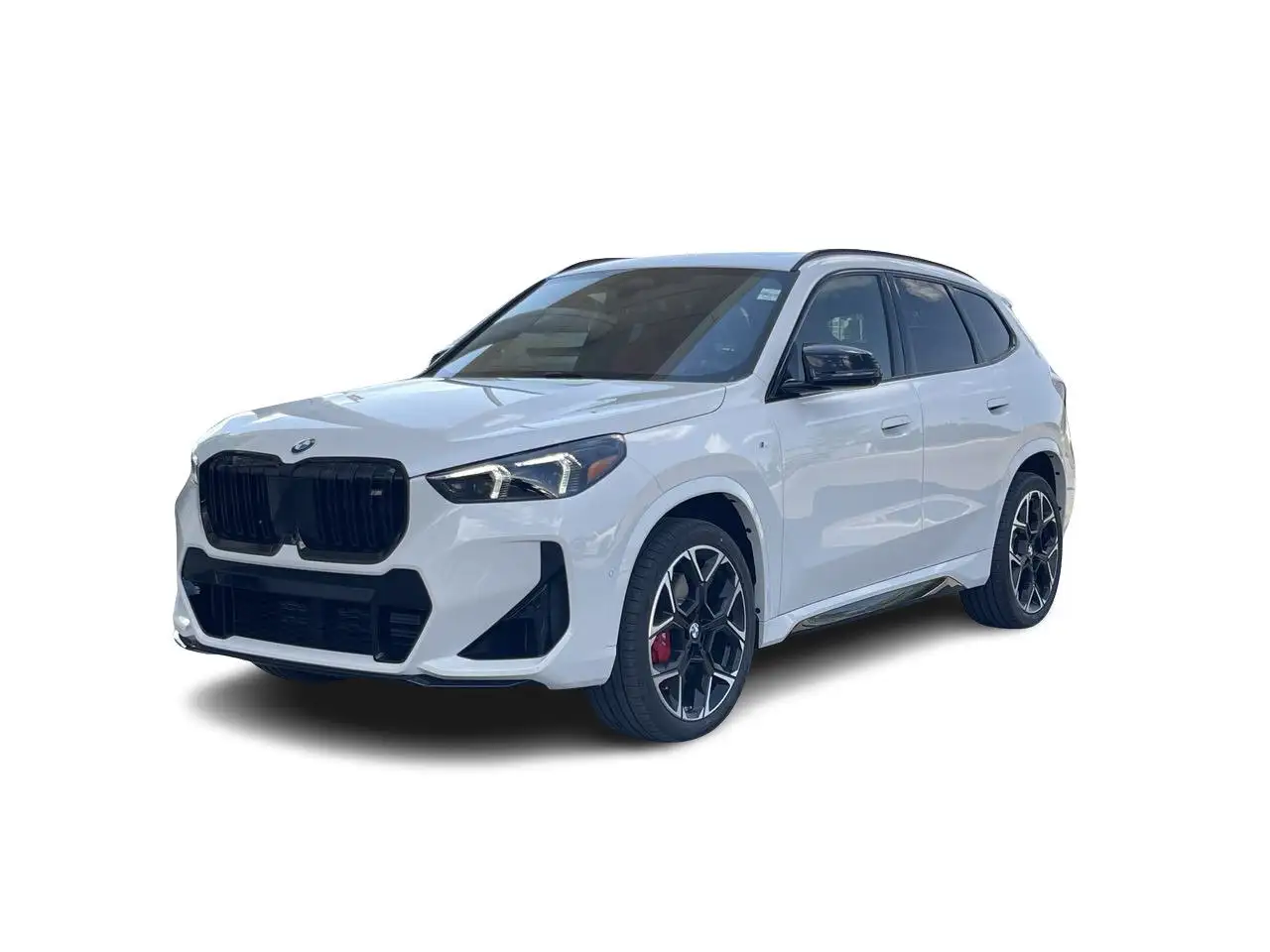 BMW X1 fotografie BMW X1