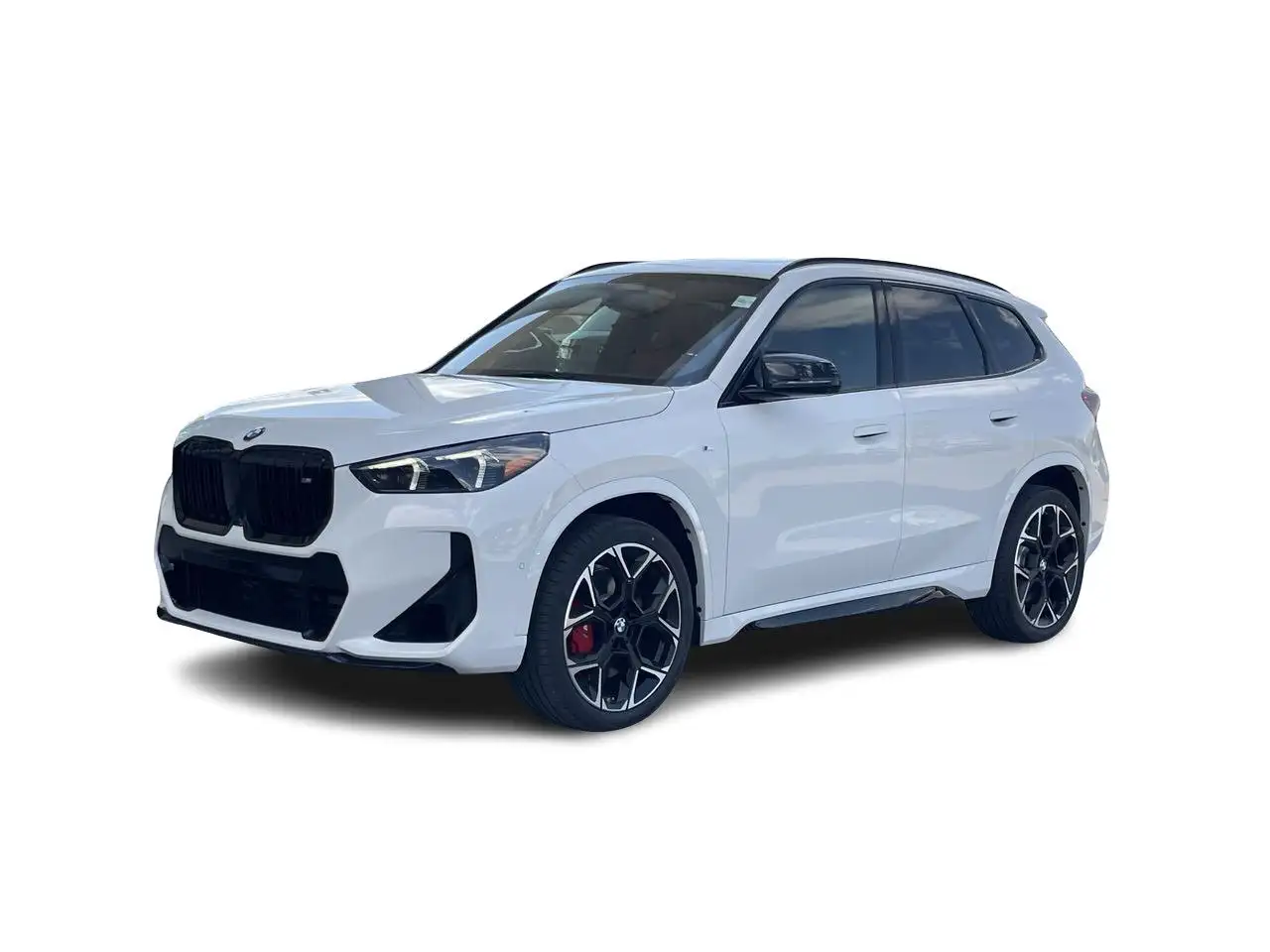 BMW X1 fotografie BMW X1