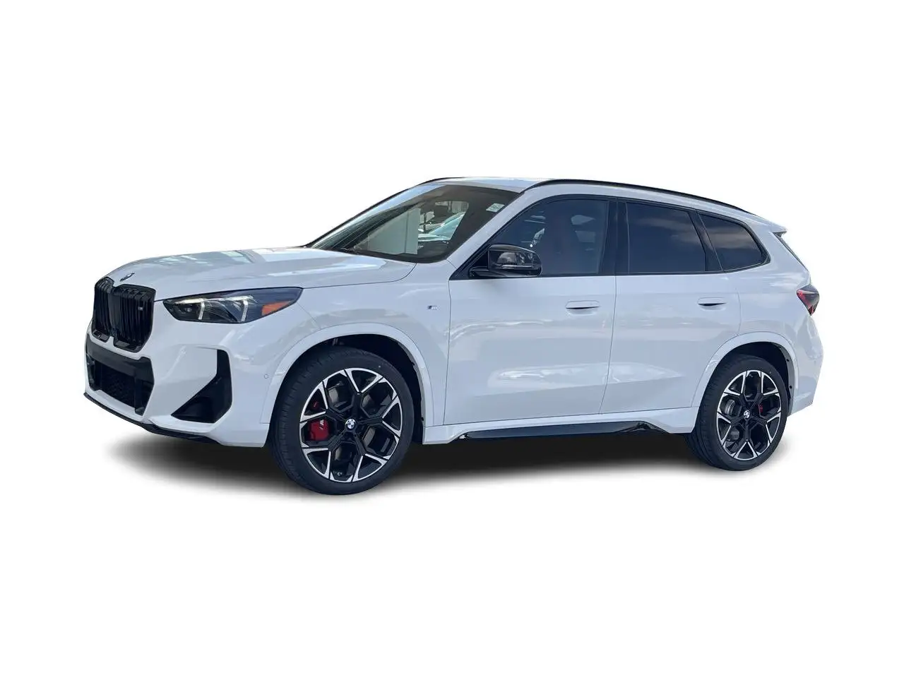 BMW X1 fotografie BMW X1