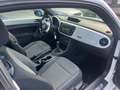 Volkswagen Maggiolino 1.4 TSI Sport TETTO APRIBILE Bianco - thumbnail 8