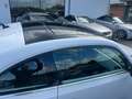 Volkswagen Maggiolino 1.4 TSI Sport TETTO APRIBILE Bianco - thumbnail 7
