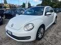 Volkswagen Maggiolino 1.4 TSI Sport TETTO APRIBILE Bianco - thumbnail 3
