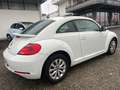 Volkswagen Maggiolino 1.4 TSI Sport TETTO APRIBILE Weiß - thumbnail 6