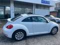 Volkswagen Maggiolino 1.4 TSI Sport TETTO APRIBILE Bianco - thumbnail 6
