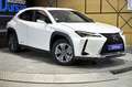 Lexus UX 300e Business Wit - thumbnail 3