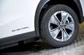 Lexus UX 300e Business Wit - thumbnail 12