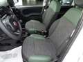 Fiat Panda Panda 1.3 MJT 95 CV S&S 4x4 Weiß - thumbnail 9