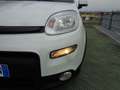 Fiat Panda Panda 1.3 MJT 95 CV S&S 4x4 Weiß - thumbnail 5