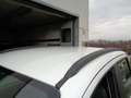 Fiat Panda Panda 1.3 MJT 95 CV S&S 4x4 Weiß - thumbnail 7