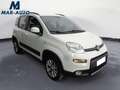 Fiat Panda Panda 1.3 MJT 95 CV S&S 4x4 Weiß - thumbnail 4