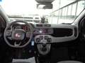 Fiat Panda Panda 1.3 MJT 95 CV S&S 4x4 Weiß - thumbnail 12