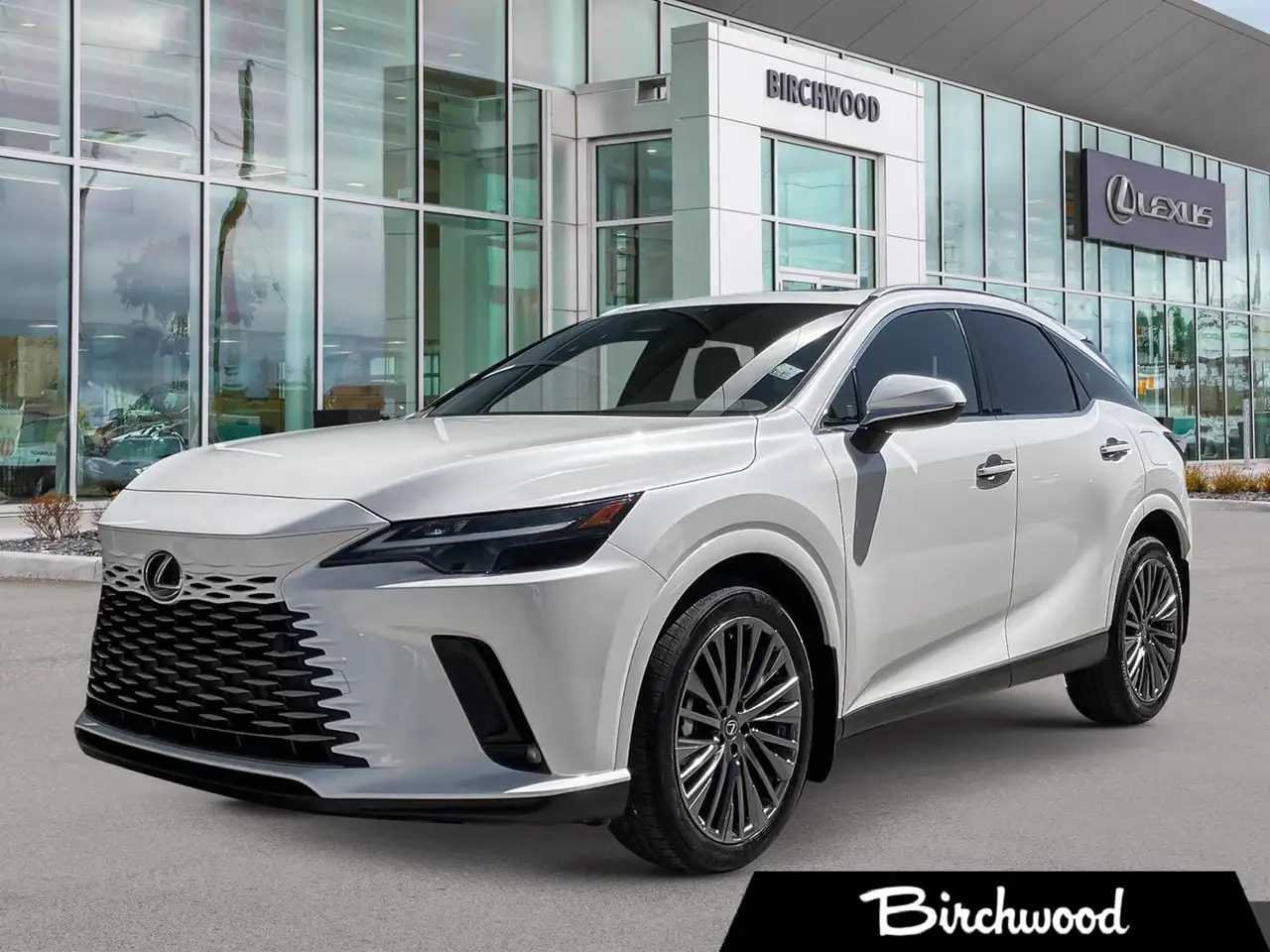 2026 Lexus RX