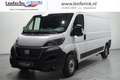 Fiat Ducato 2.2 MultiJet 140 pk L3H2 v.a. 449,- p/mnd, 13m3 Cr Wit - thumbnail 1