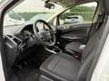 Ford EcoSport Ecosport Camera - Cruise Control - Garantie Wit - thumbnail 10
