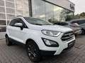 Ford EcoSport Ecosport Camera - Cruise Control - Garantie Wit - thumbnail 4
