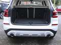 BMW X3 xDrive30i xLine*Business + Innovationspaket* Blanc - thumbnail 15