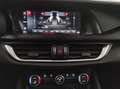 Alfa Romeo Stelvio (AUTOCARRO) 2.2 Turbodiesel 160 CV AT8 RWD Super B Bianco - thumbnail 12