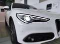 Alfa Romeo Stelvio (AUTOCARRO) 2.2 Turbodiesel 160 CV AT8 RWD Super B Bianco - thumbnail 3