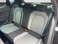 SEAT Ibiza Xcellence 1.0 TSI Navi/ Winter-Paket/ Voll Schwarz - thumbnail 15