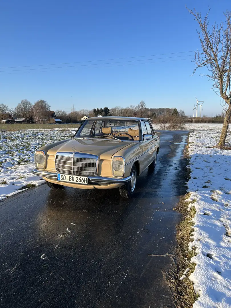 Mercedes-Benz W 114/115 Strich-Acht Beige - 2