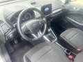Ford EcoSport EcoSport 1.0 ecoboost Plus s Grigio - thumbnail 7