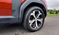 Dacia Duster Duster 1.2 Mild hybrid Journey ( 4X4 ) Brun - thumbnail 7