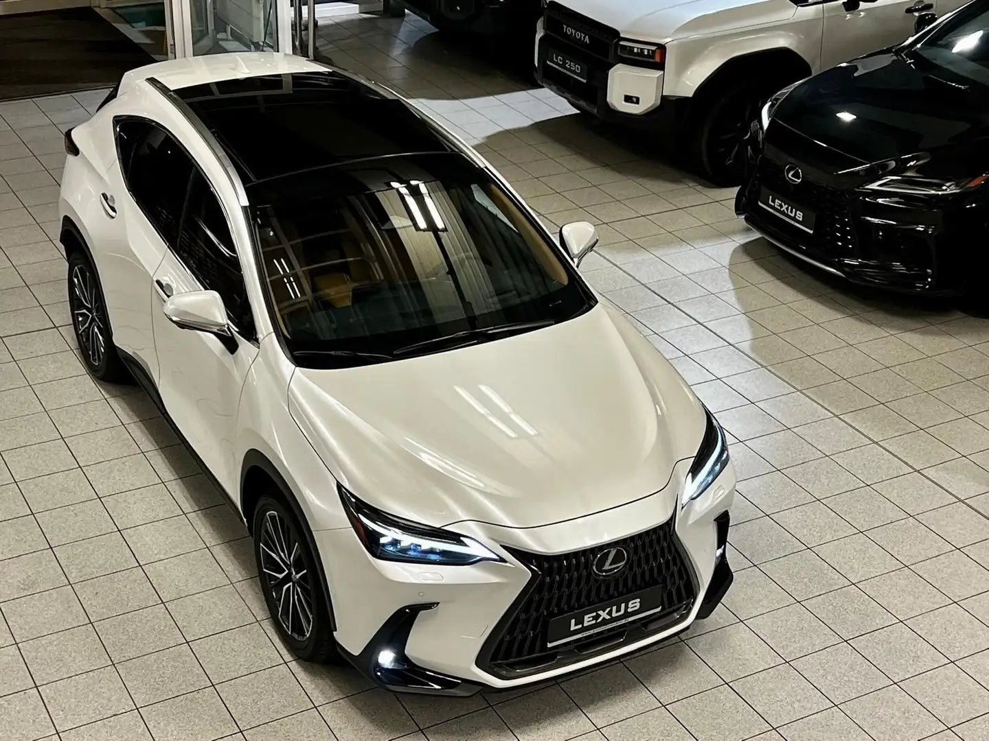 Lexus NX 350h - LUXURY-4 WD-MARK L.-HUD-360 C.-PANORMA Білий - 1