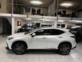 Lexus NX 350h - LUXURY-4 WD-MARK L.-HUD-360 C.-PANORMA Білий - thumbnail 7