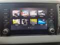 Skoda Karoq Karoq 1.0 TSI Ambition Gris - thumbnail 18