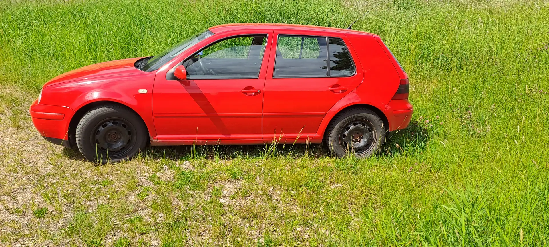 Volkswagen Golf Golf 1.6 Trendline Rot - 2