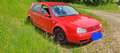 Volkswagen Golf Golf 1.6 Trendline Rot - thumbnail 4