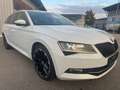 Skoda Superb Ambition *XENON*NAVI*AHK*KAMERA*TOP* Weiß - thumbnail 6