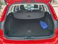 Ford Focus Sportbreak 1.5Ecoblue Titanium Rood - thumbnail 11