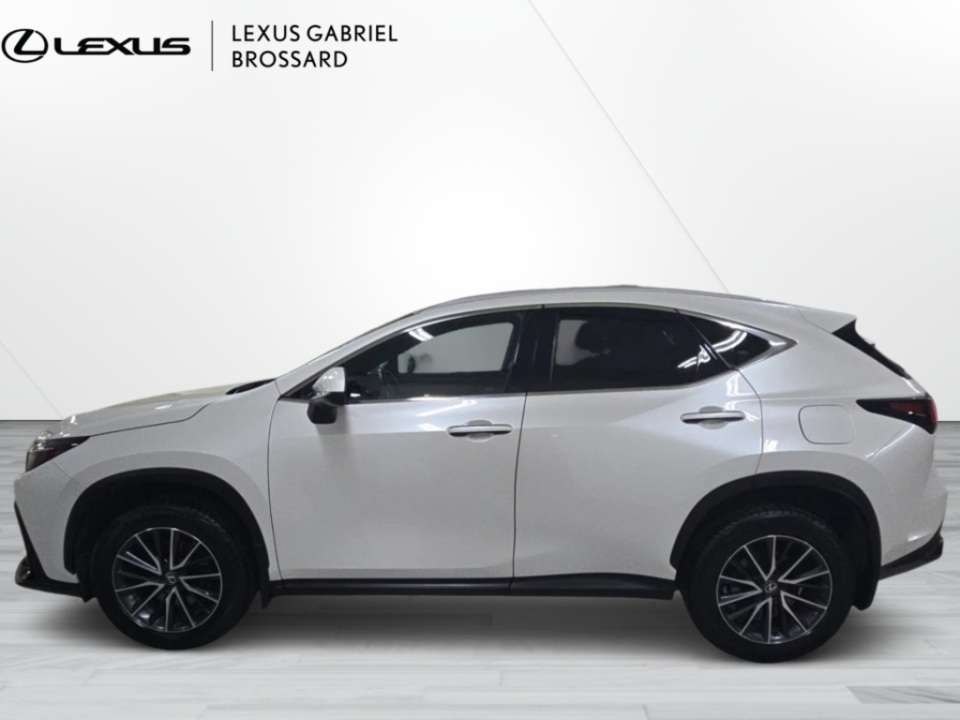 2024 Lexus NX Premium AWD — снимка 1