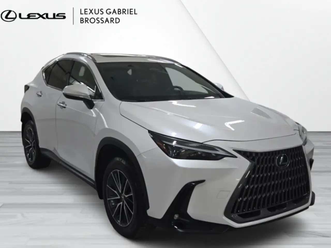 Lexus NX снимка Lexus NX