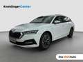 Skoda Octavia Ambition TDI DSG Weiß - thumbnail 1